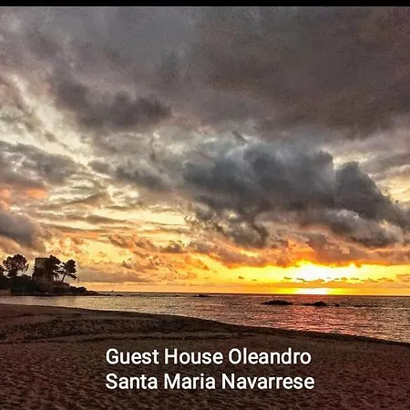 Oleandro Santa Maria Navarrese