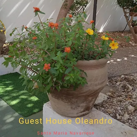 Appartamento Oleandro