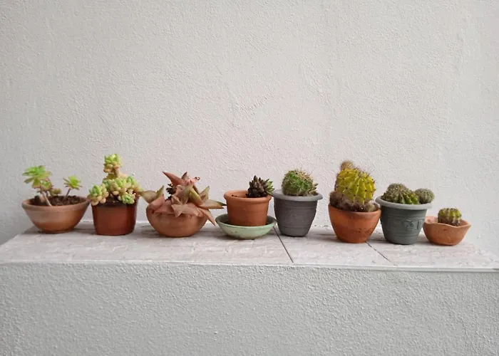 Oleandro Apartamento *